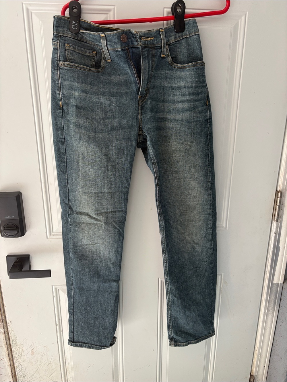 Signature by Levi Strauss Men's Mid Blue Straight Jeans